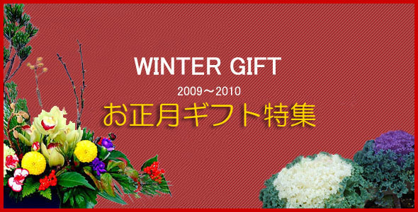 法人企業様の受付やご家庭用の個人のお客様へお正月 お年賀 花のフラワーギフトで新年のお正月アレンジをご用意させていただきました。
新年のお花GIFTできっと喜んでいただけるフラワーアレンジメントや花束を見つけることができます。